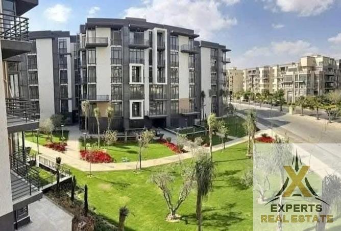 52453582 - Property Image 3