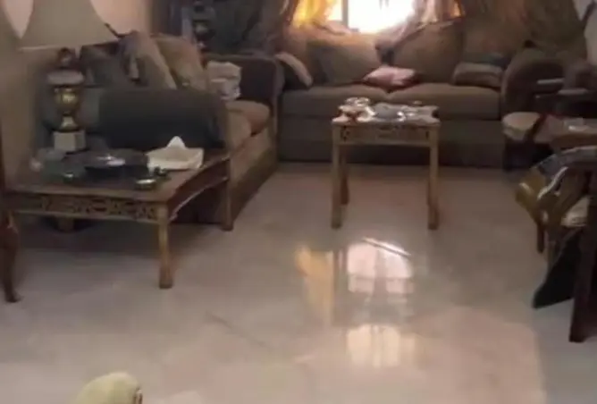 114356271 - صورة العقار 3