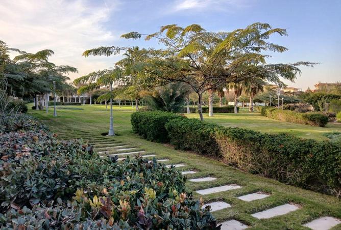 58252616 - صورة العقار 2