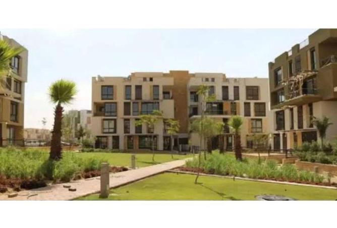 64137254 - Property Image 3