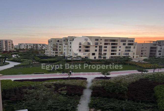 2P4N0kI7852 - Property Image 3