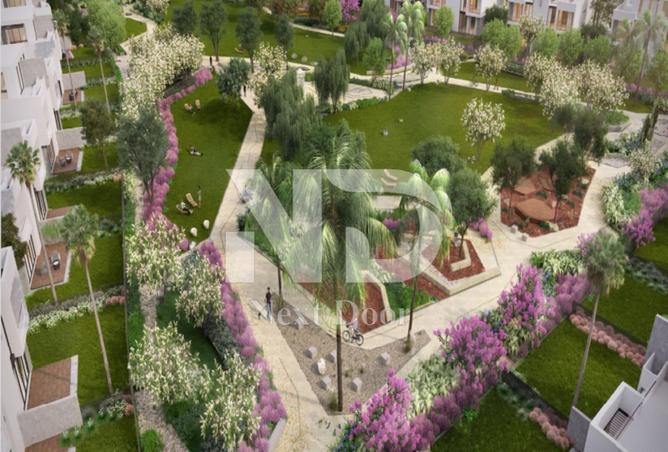 56249277 - صورة العقار 2