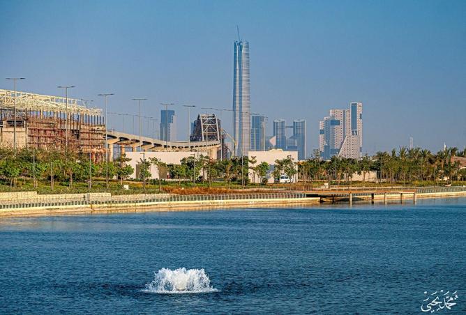 64389989 - صورة العقار 2