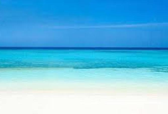 65162411 - Property Image 2