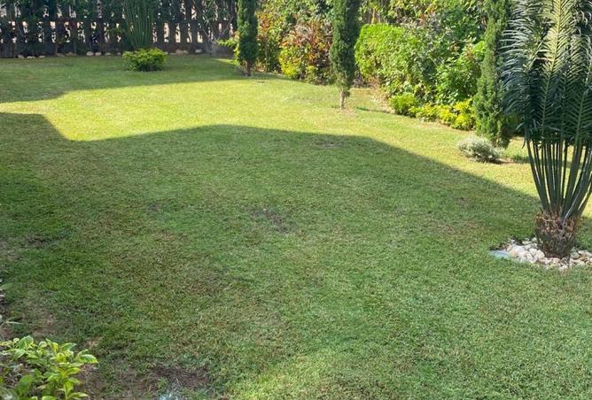 8404541 - Property Image 3