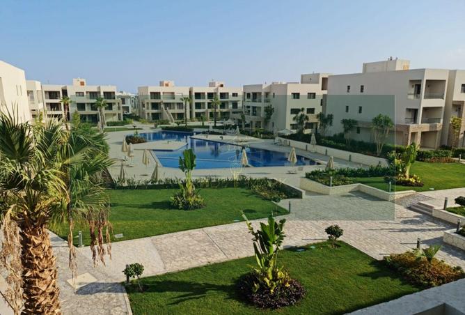 66961905 - صورة العقار 3