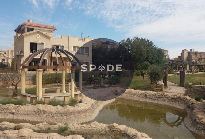 56004559 - Property Image 3