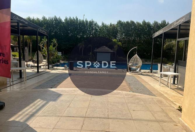 56004559 - Property Image 2