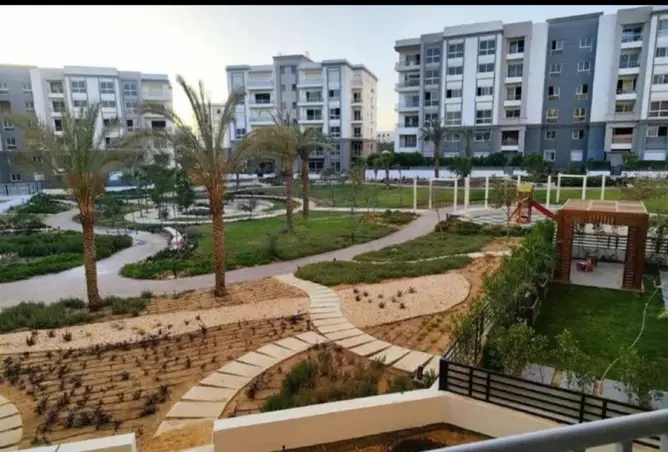 100916648 - صورة العقار 3