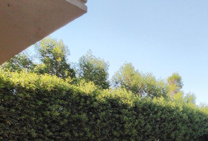 87843126 - Property Image 2