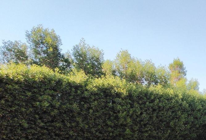 87843126 - Property Image 3