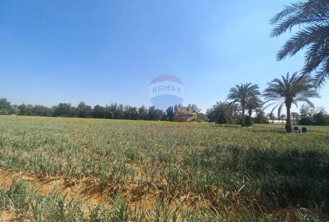 70632709 - Property Image 3