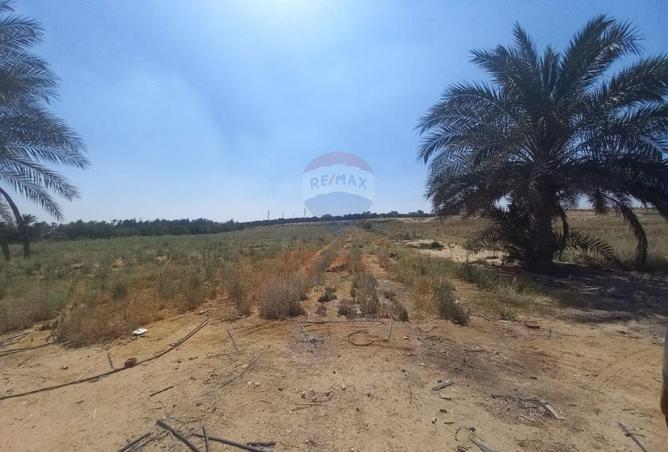 70632709 - Property Image 2