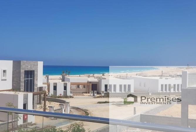 62649872 - صورة العقار 3