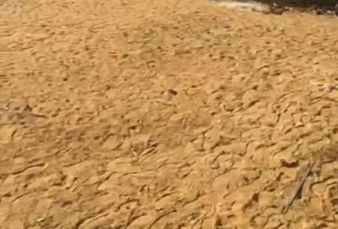 8498399 - صورة العقار 3