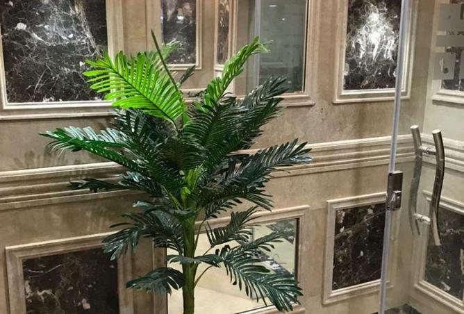 64901706 - الصورة الرئيسية للعقار