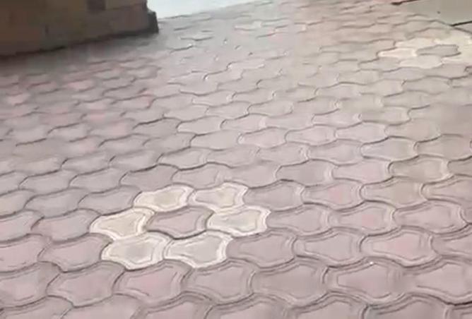 8662770 - Property Image 3