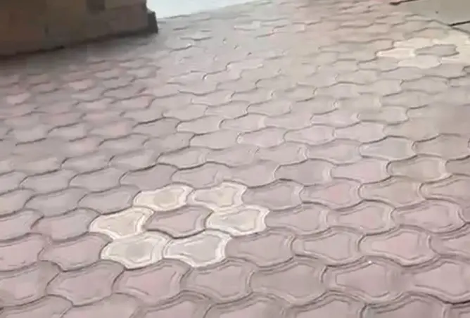 8662770 - صورة العقار 3