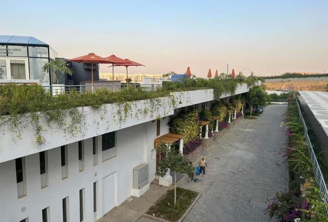 65156054 - صورة العقار 3