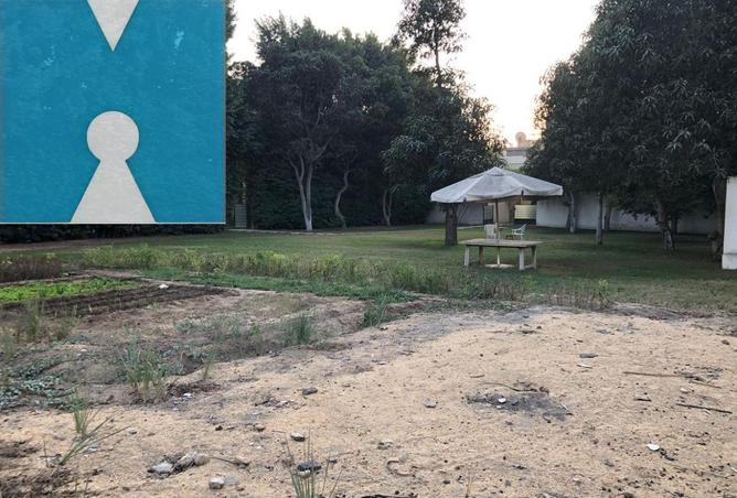 8699711 - صورة العقار 2