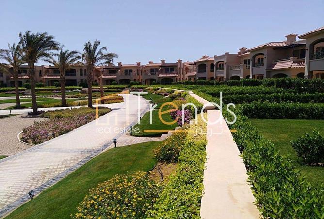 66422356 - Property Main Image