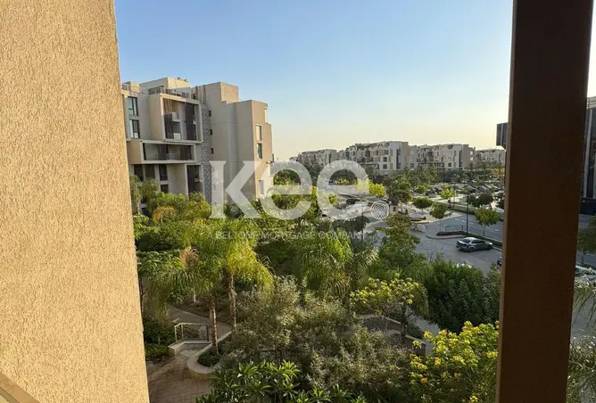 113816408 - صورة العقار 2