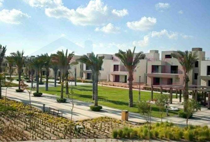 80788424 - صورة العقار 3