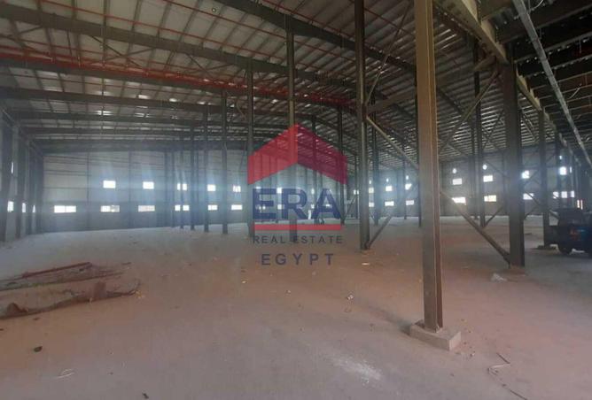 55009107 - الصورة الرئيسية للعقار