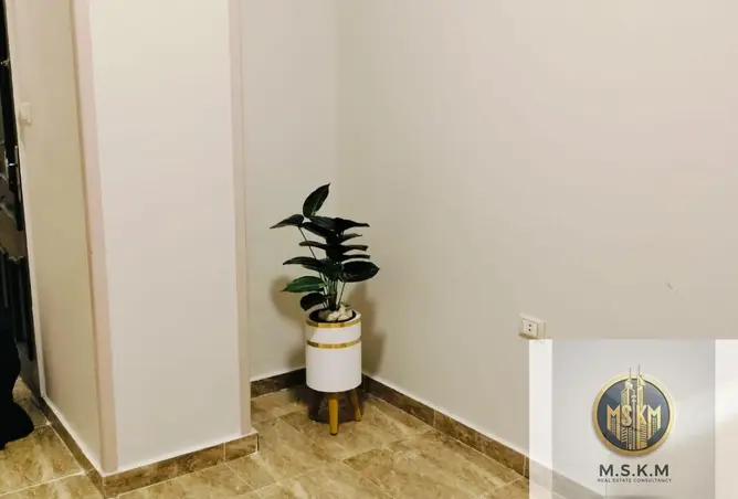 119852815 - Property Image 2