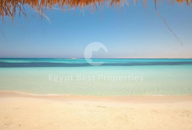 100929489 - Property Image 3