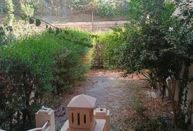 71388597 - Property Image 3