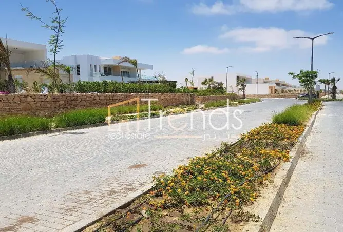 112975325 - Property Image 3