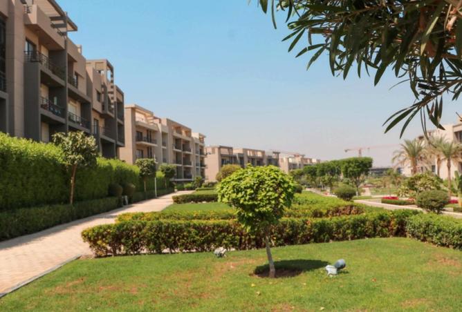 66961273 - صورة العقار 3