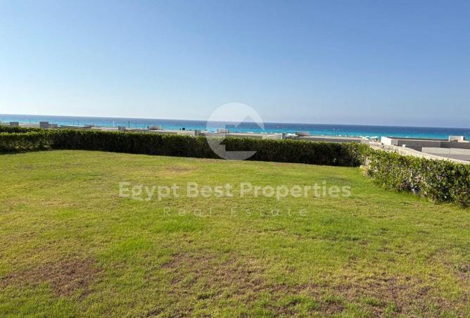 71649863 - Property Main Image
