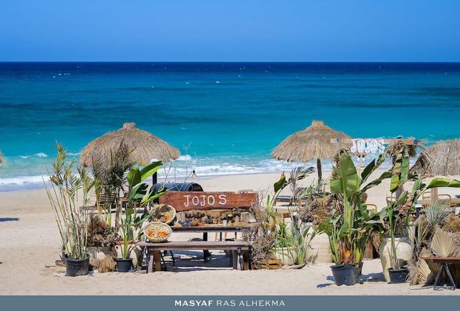 54759097 - Property Image 3