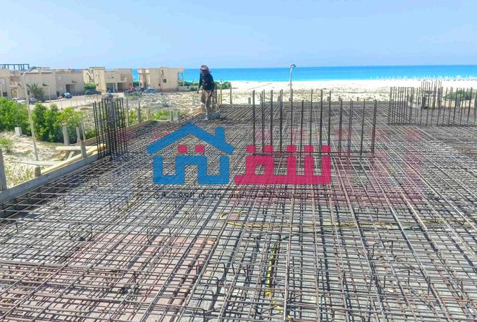 107969149 - Property Image 3
