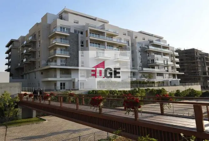 111306713 - Property Image 3