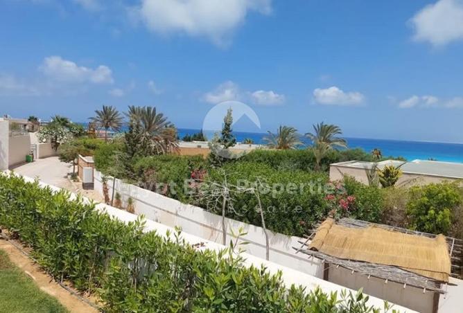 97722581 - صورة العقار 3