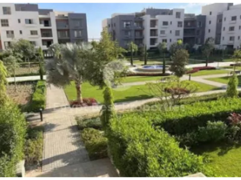 2BR Apartment | Garden Access | District 5 thumbnail