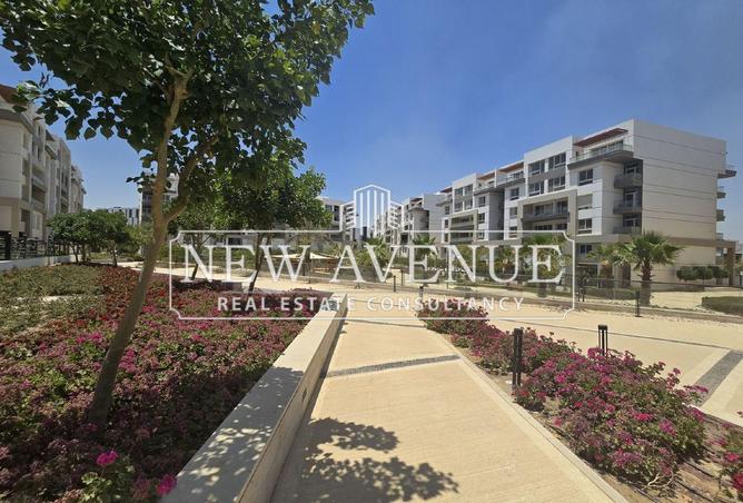 62889359 - Property Image 3