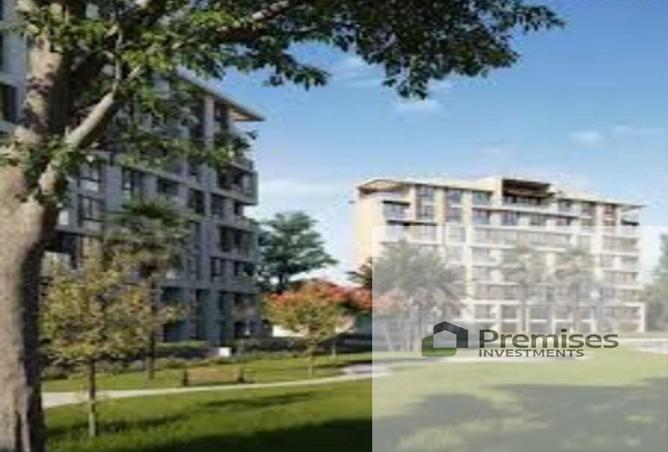 74594384 - Property Image 3
