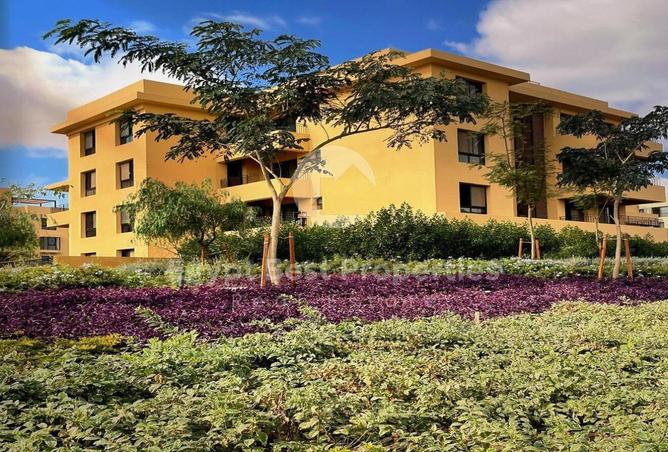 57746463 - صورة العقار 3