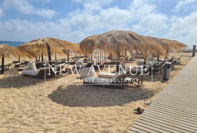 8593766 - Property Image 3