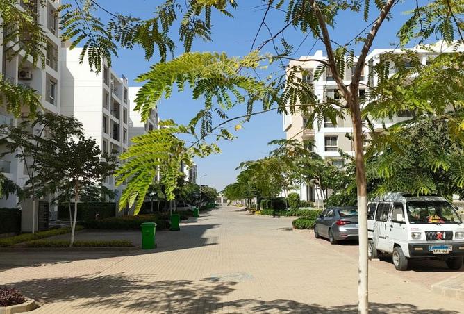 64634815 - صورة العقار 2