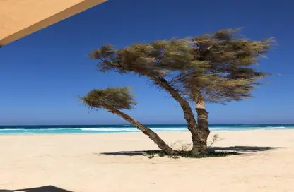 Chalet - 3 Bedrooms - 3 Bathrooms for sale in Marsa Baghush - Qesm Marsa Matrouh - North Coast