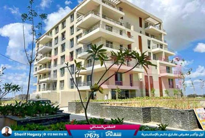 8432394 - Property Image 2