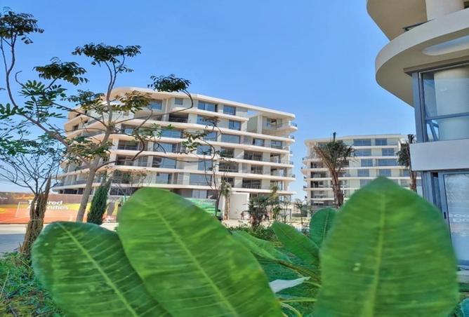 8537036 - صورة العقار 2