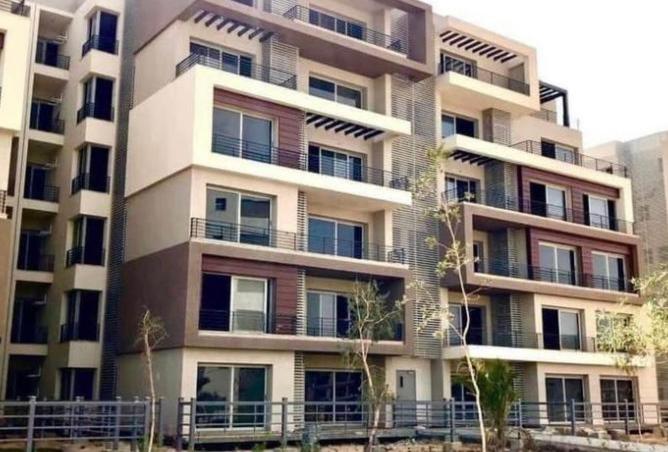 54246678 - Property Image 3