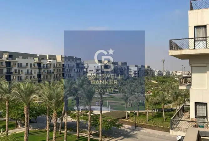 115175824 - صورة العقار 3