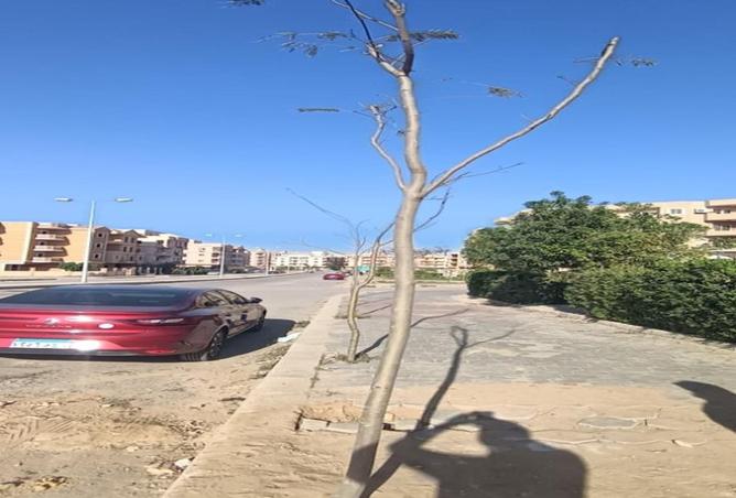 72444498 - صورة العقار 2